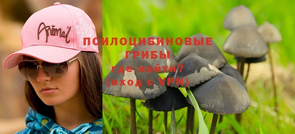 прущая мука Мегион