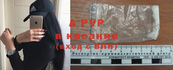 PSILOCYBIN Медвежьегорск