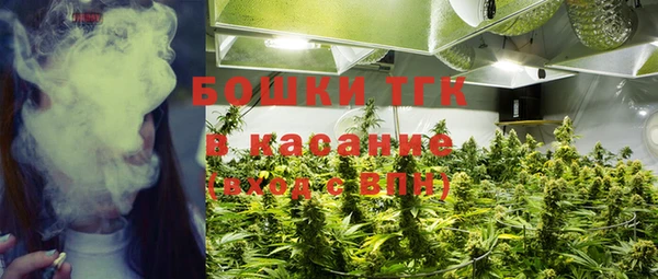PSILOCYBIN Медвежьегорск