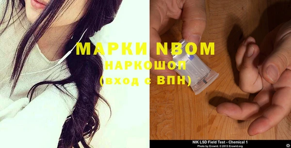 PSILOCYBIN Медвежьегорск