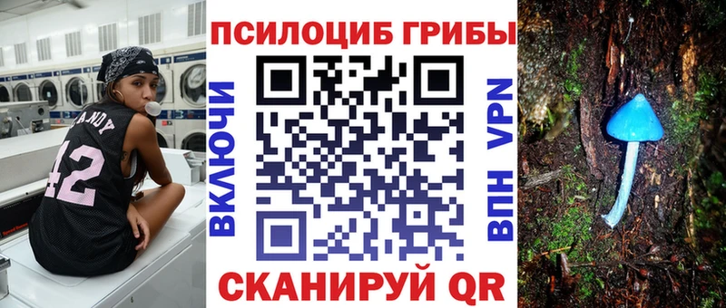 Галлюциногенные грибы мухоморы  Купить где  Ярославль 